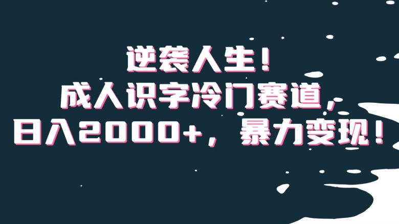 逆袭人生！成人识字冷门赛道，日入2000+，暴力变现！【揭秘】-婷好网络资源库