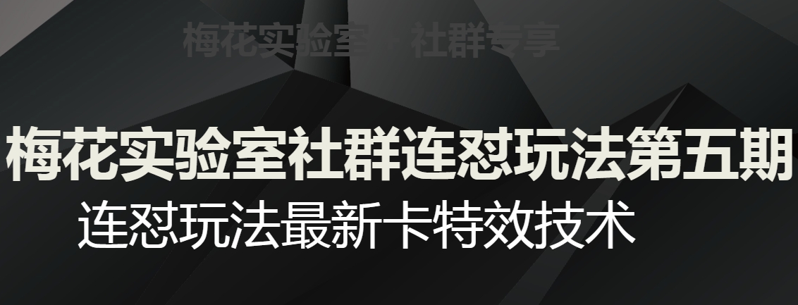 梅花实验室社群连怼玩法第五期，视频号连怼玩法最新卡特效技术-婷好网络资源库