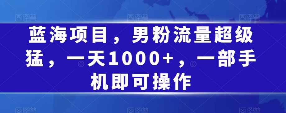 蓝海项目，男粉流量超级猛，一天1000+，一部手机即可操作【揭秘】-婷好网络资源库