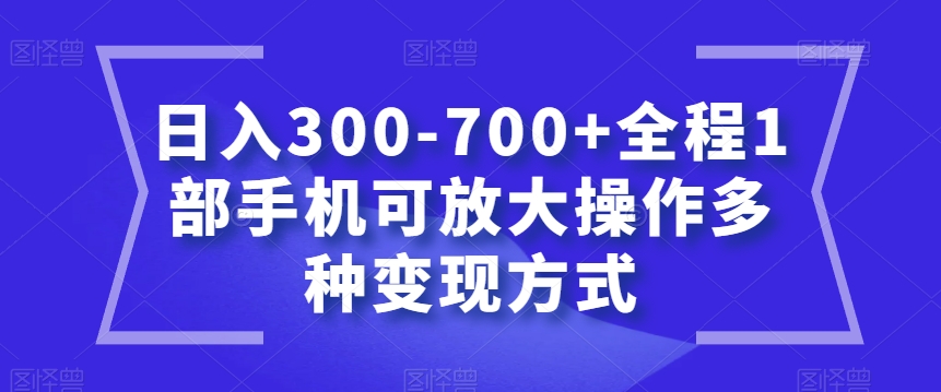 日入300-700+全程1部手机可放大操作多种变现方式【揭秘】-婷好网络资源库