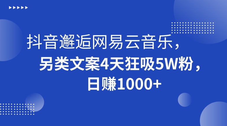 抖音邂逅网易云音乐，另类文案4天狂吸5W粉，日赚1000+【揭秘】-婷好网络资源库