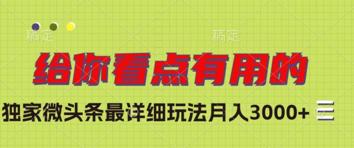 独家微头条最详细玩法，月入3000+【揭秘】-婷好网络资源库