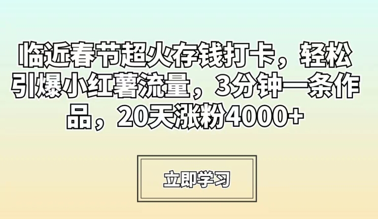 临近春节超火存钱打卡，轻松引爆小红薯流量，3分钟一条作品，20天涨粉4000+【揭秘】-婷好网络资源库