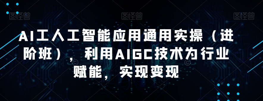 AI工人工智能应用通用实操（进阶班），利用AIGC技术为行业赋能，实现变现-婷好网络资源库