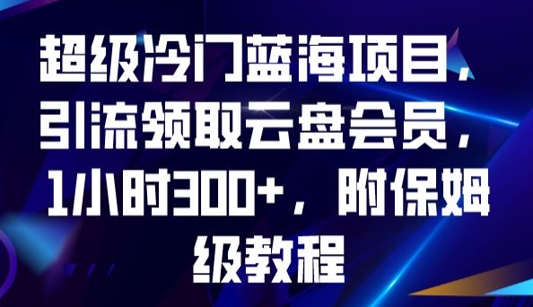 超级冷门蓝海项目，引流领取云盘会员，1小时300+，附保姆级教程-婷好网络资源库