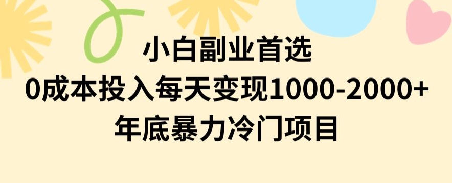 小白副业首选，0成本投入，每天变现1000-2000年底暴力冷门项目【揭秘】-婷好网络资源库