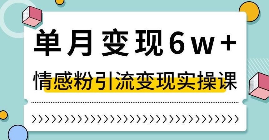 单月变现6W+，抖音情感粉引流变现实操课，小白可做，轻松上手，独家赛道【揭秘】-婷好网络资源库