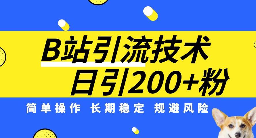 B站引流技术：每天引流200精准粉，简单操作，长期稳定，规避风险-婷好网络资源库