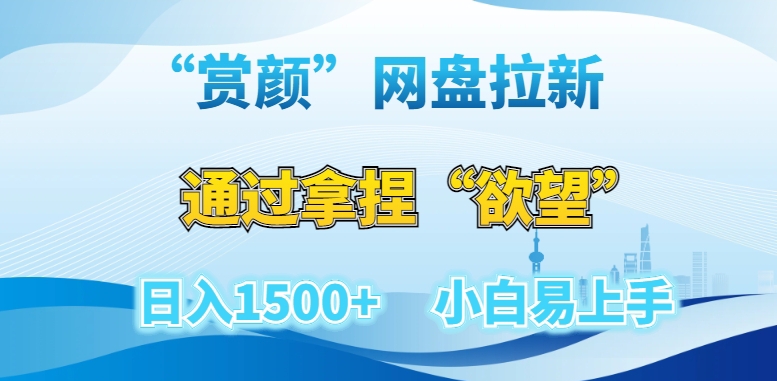 “赏颜”网盘拉新赛道，通过拿捏“欲望”日入1500+，小白易上手【揭秘】-婷好网络资源库