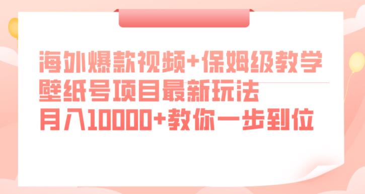 海外爆款视频+保姆级教学，壁纸号项目最新玩法，月入10000+教你一步到位【揭秘】-婷好网络资源库