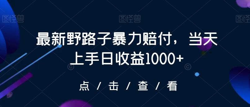 最新野路子暴力赔付，当天上手日收益1000+【仅揭秘】-婷好网络资源库