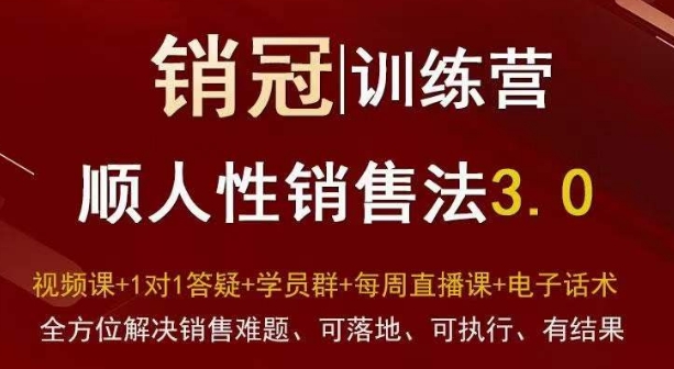 爆款！销冠训练营3.0之顺人性销售法，全方位解决销售难题、可落地、可执行、有结果-婷好网络资源库