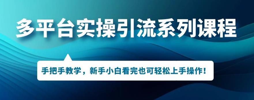 多平台引流实操系列课程，新手小白看完也可轻松上手进行引流操作-婷好网络资源库