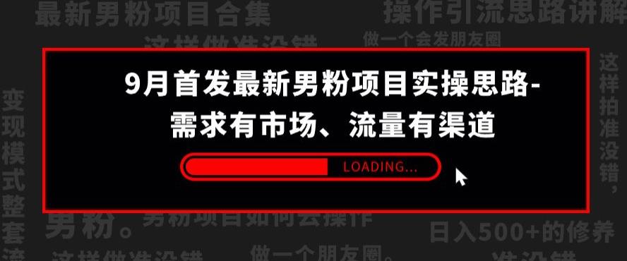 9月首发最新男粉项目实操思路-需求有市场，流量有渠道【揭秘】-婷好网络资源库