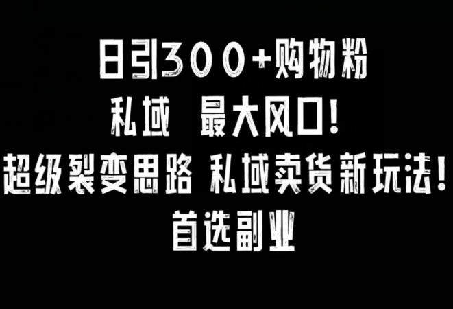 日引300+购物粉，超级裂变思路，私域卖货新玩法，小红书首选副业【揭秘】-婷好网络资源库