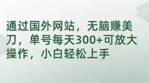 通过国外网站，无脑赚美刀，单号每天300+可放大操作，小白轻松上手【揭秘】-婷好网络资源库