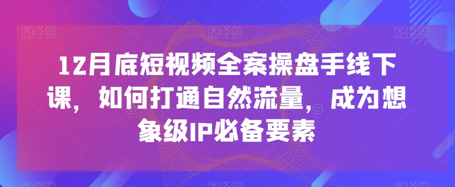 12月底短视频全案操盘手线下课，如何打通自然流量，成为想象级IP必备要素-婷好网络资源库