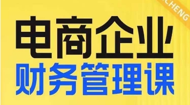 电商企业财务管理线上课，为电商企业规划财税-婷好网络资源库