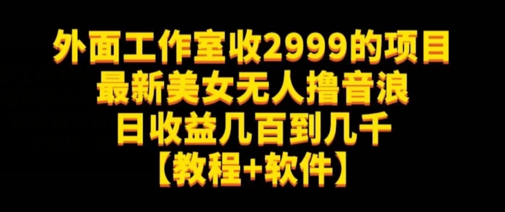 外面工作室收2999的项目最新美女无人撸音浪日收益几百到几千【教程+软件】（仅揭秘）-婷好网络资源库