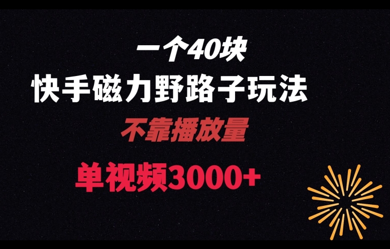 一个40块，快手联合美团磁力新玩法，无视机制野路子玩法，单视频收益4位数【揭秘】-婷好网络资源库