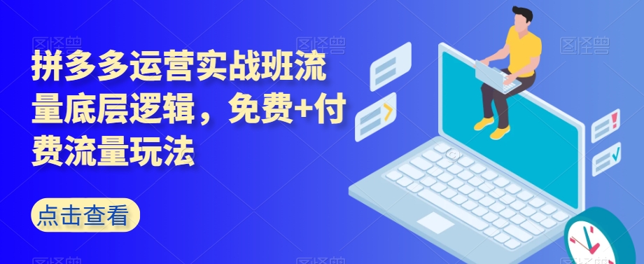 拼多多运营实战班流量底层逻辑，免费+付费流量玩法-婷好网络资源库