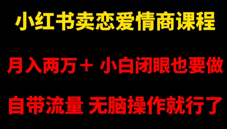 小红书卖恋爱情商课程，月入两万＋，小白闭眼也要做，自带流量，无脑操作就行了【揭秘】-婷好网络资源库