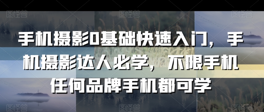 手机摄影0基础快速入门，手机摄影达人必学，不限手机任何品牌手机都可学-婷好网络资源库