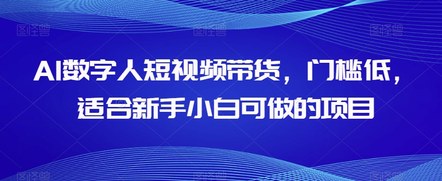 AI数字人短视频带货，门槛低，适合新手小白可做的项目-婷好网络资源库