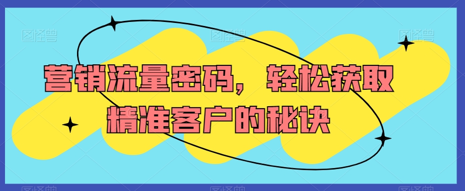 营销流量密码，轻松获取精准客户的秘诀-婷好网络资源库