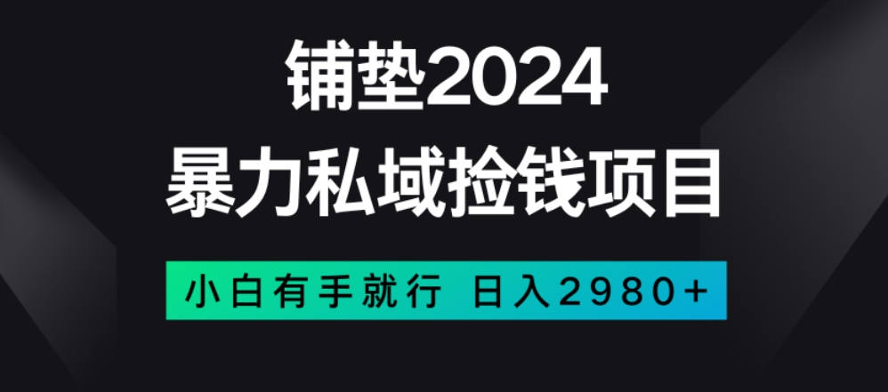 暴力私域捡钱项目，小白无脑操作，日入2980【揭秘】-婷好网络资源库