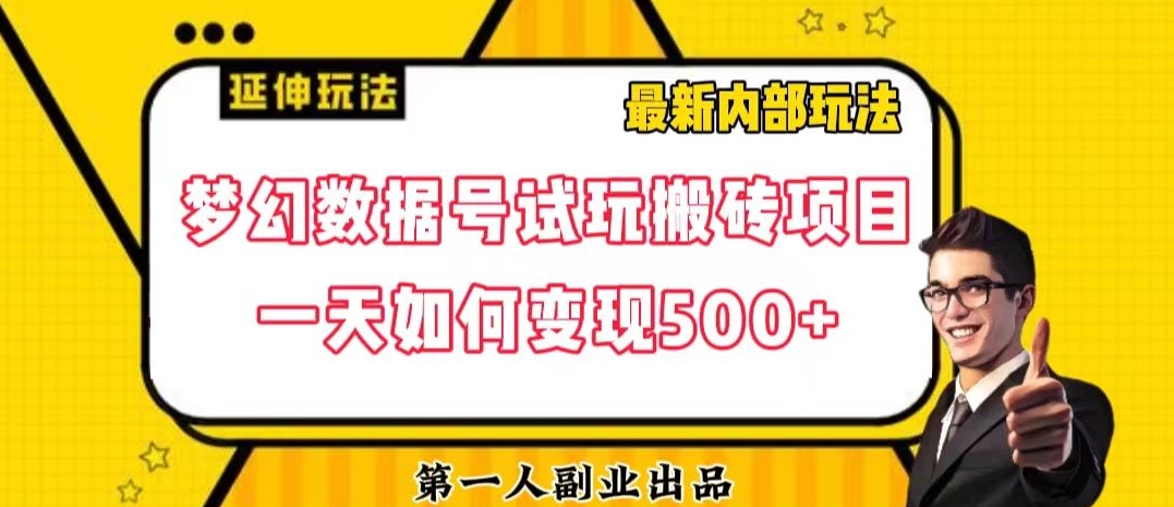 数据号回归玩法游戏试玩搬砖项目再创日入500+【揭秘】-婷好网络资源库