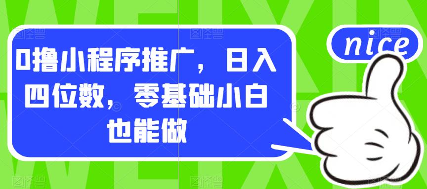 0撸小程序推广，日入四位数，零基础小白也能做【揭秘】-婷好网络资源库