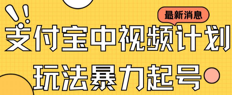 支付宝中视频玩法暴力起号影视起号有播放即可获得收益（带素材）-婷好网络资源库