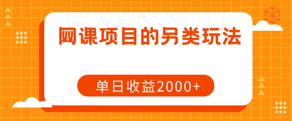 网课项目的另类玩法，单日收益2000+【揭秘】-婷好网络资源库