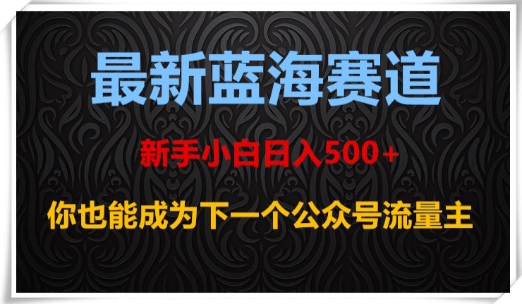 最新蓝海赛道，新手小白日入500+，你也能成为下一个公众号流量主【揭秘】-婷好网络资源库