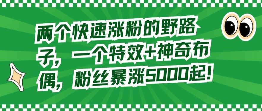 两个快速涨粉的野路子，一个特效+神奇布偶，粉丝暴涨5000起【揭秘】-婷好网络资源库