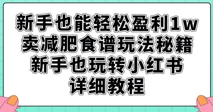 新手也能轻松盈利1w，卖减肥食谱玩法秘籍，新手也玩转小红书详细教程【揭秘】-婷好网络资源库