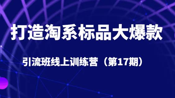 打造淘系标品大爆款引流班线上训练营（第17期）5天直播授课-婷好网络资源库