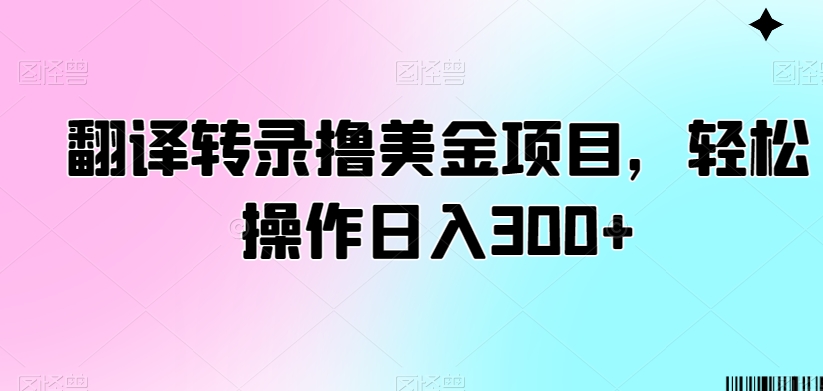 翻译转录撸美金项目，轻松操作日入300+【揭秘】-婷好网络资源库