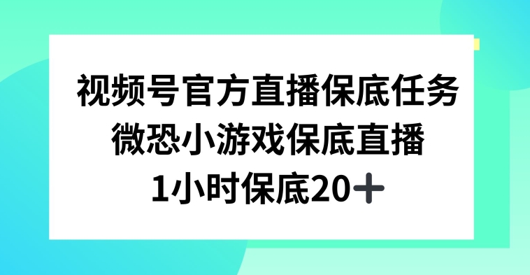 视频号直播任务，微恐小游戏，1小时20+【揭秘】-婷好网络资源库