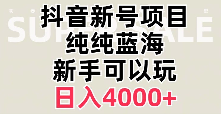 抖音蓝海赛道，必须是新账号，日入4000+【揭秘】-婷好网络资源库