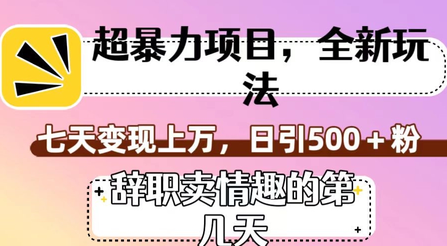 超暴利项目，全新玩法（辞职卖情趣的第几天），七天变现上万，日引500+粉【揭秘】-婷好网络资源库