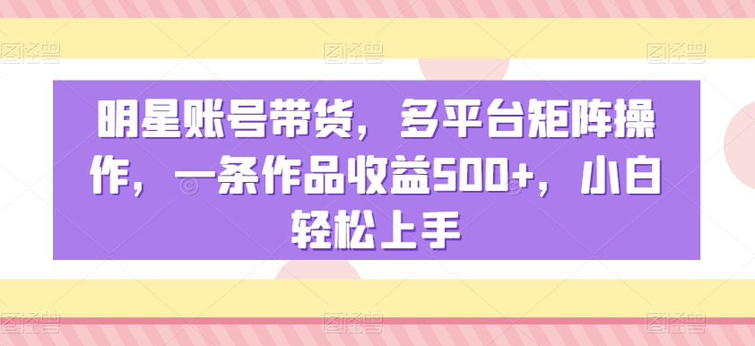 明星账号带货，多平台矩阵操作，一条作品收益500+，小白轻松上手【揭秘】-婷好网络资源库