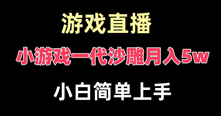 玩小游戏一代沙雕月入5w，爆裂变现，快速拿结果，高级保姆式教学【揭秘】-婷好网络资源库