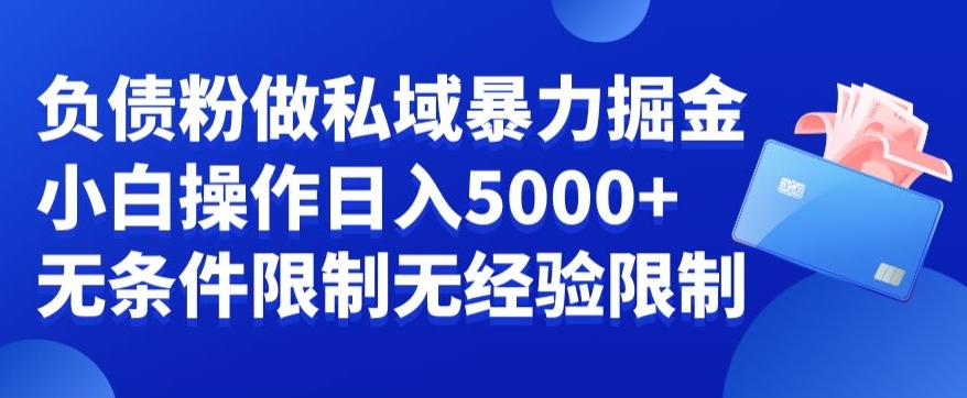 负债粉私域暴力掘金，小白操作入5000，无经验限制，无条件限制【揭秘】-婷好网络资源库