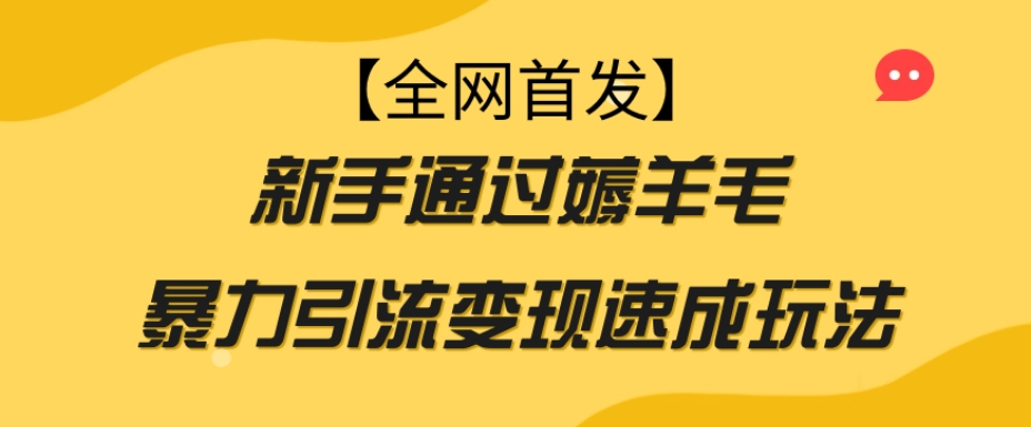 【全网首发】新手通过薅羊毛暴力引流变现速成玩法-婷好网络资源库