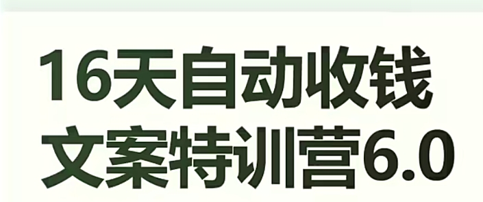 16天自动收钱文案特训营6.0，学会儿每天自动咔咔收钱-婷好网络资源库