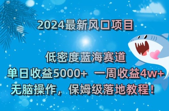 2024最新风口项目，低密度蓝海赛道，单日收益5000+，一周收益4w+！【揭秘】-婷好网络资源库