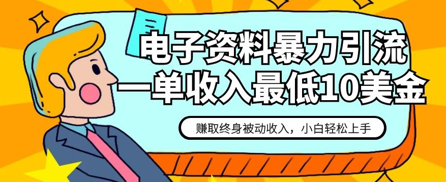 电子资料暴力引流，一单最低10美金，赚取终身被动收入，保姆级教程【揭秘】-婷好网络资源库