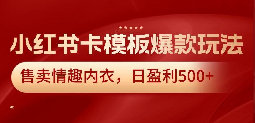 小红书卡模板爆款玩法，售卖情趣内衣，日盈利500+【揭秘】-婷好网络资源库